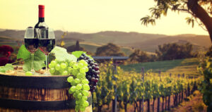 „Obiceiurile de consum s-au schimbat foarte rapid de la un sezon la altul”