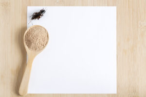 Proiectul lui Ciolacu prin care se interzice făina de insecte în produsele tradiționale, adoptat