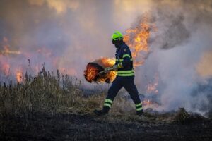 Cât cheltuiesc statele UE pentru protecția față de incendii