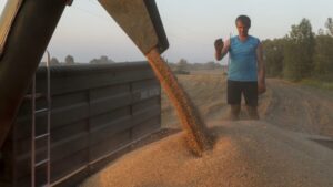 Polonia, Ungaria, Slovacia introduc interdicții proprii asupra cerealelor ucrainene după decizia CE