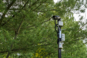 Statul promite monitorizarea prin inteligență artificială a transporturilor de lemn