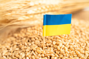 România și alte patru state cer UE taxe de import pentru cerealele care vin din Ucraina