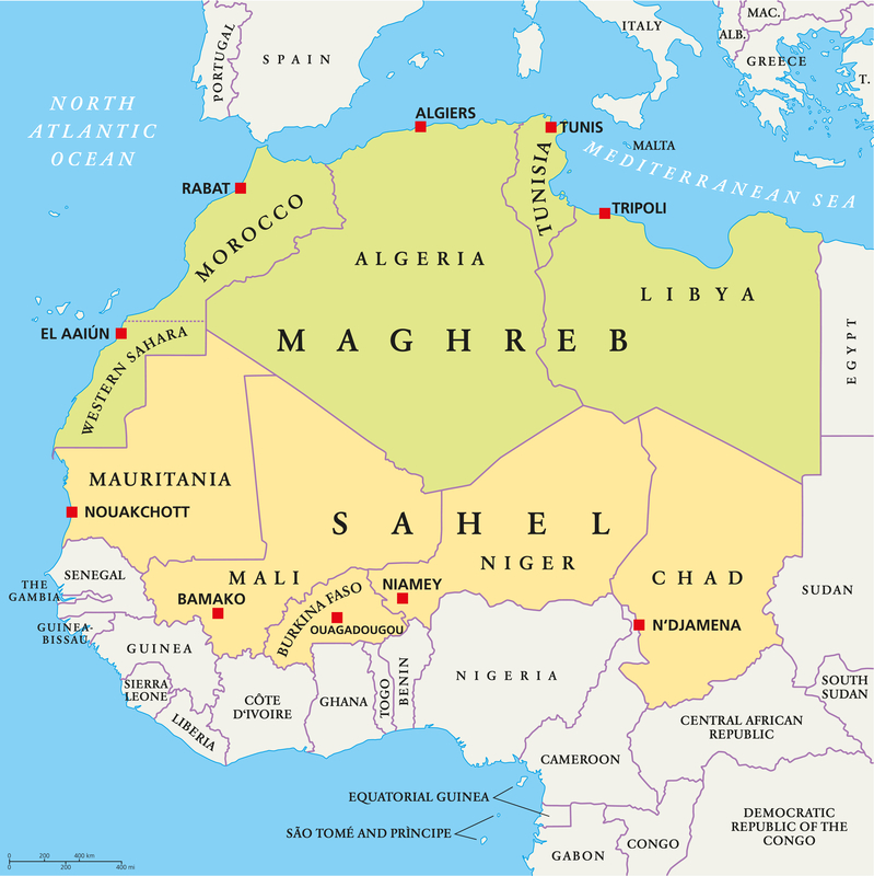 Burkina Faso, Mali și Niger se retrag din Comunitatea Africii de Vest