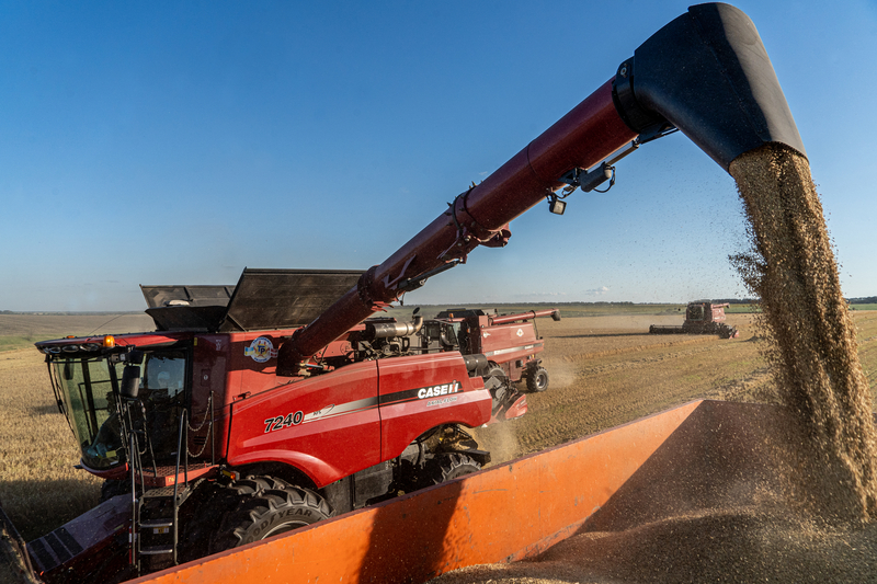 MADR spune că nu a emis vreun acord de punere în liberă circulație a produselor agricole din Ucraina