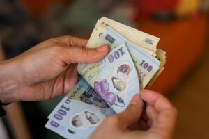 Cursul valutar din 2024 a fost relativ restabilit
