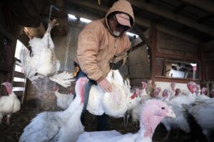 O persoană din Texas a fost diagnosticată cu o gripă aviară rară