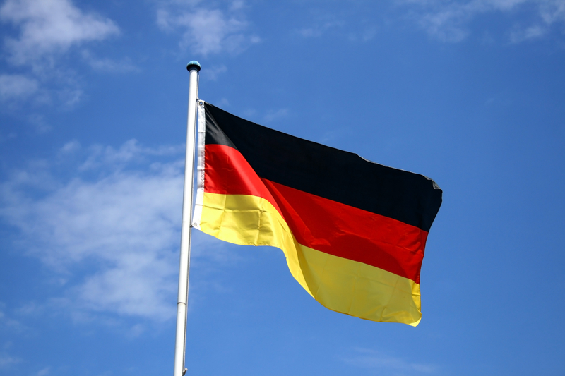 Germania denunță violența politică tot mai mare, după ce un europarlamentar german a fost bătut