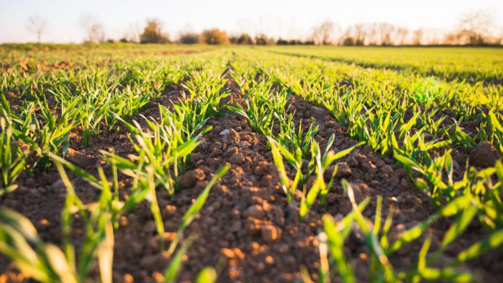 Comisarul european pentru agricultură vine în România