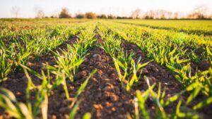 Comisarul european pentru agricultură vine în România