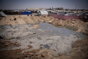 Egiptul organizează o nouă reuniune în eforturile pentru ARMISTIȚIU în Gaza /Israelul a dat ultimatum grupului Hamas