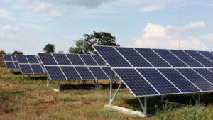 Valencia e verde. Orașul transformă cimitirele în surse de energie