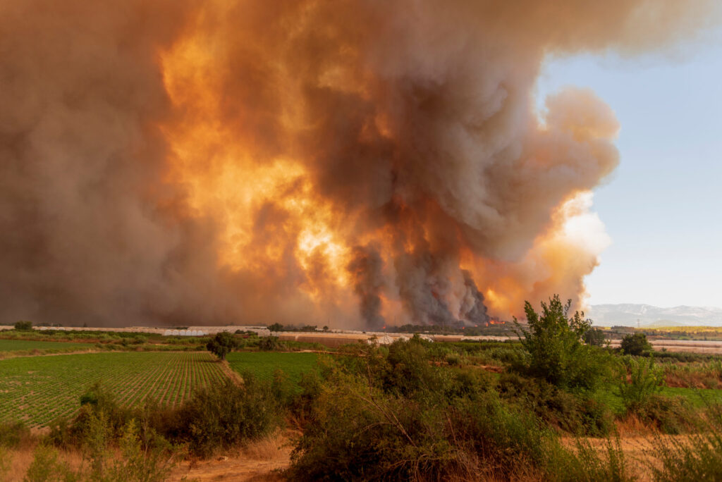 Un incendiu se extinde cu repeziciune într-o stațiune din Turcia