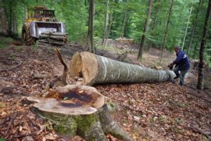 Schimbările climatice afectează din ce în ce mai mult România