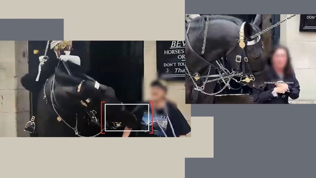 O turistă ignorantă a fost onorată cu un TATUAJ permanent de un cal al Gărzii Regale în Londra