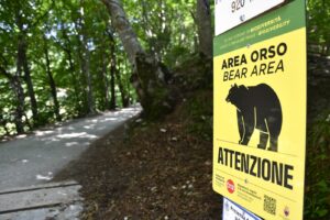 Problema URȘILOR depășește granițele României. ITALIA ia măsuri care scandalizează activiștii pentru drepturile animalelor