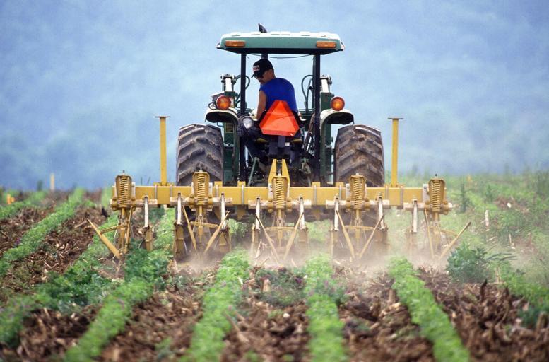 Costurile ridicate fac produsele bio să fie scumpe