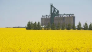China ripostează la tarifele impuse de Canada în cazul EV-urilor
