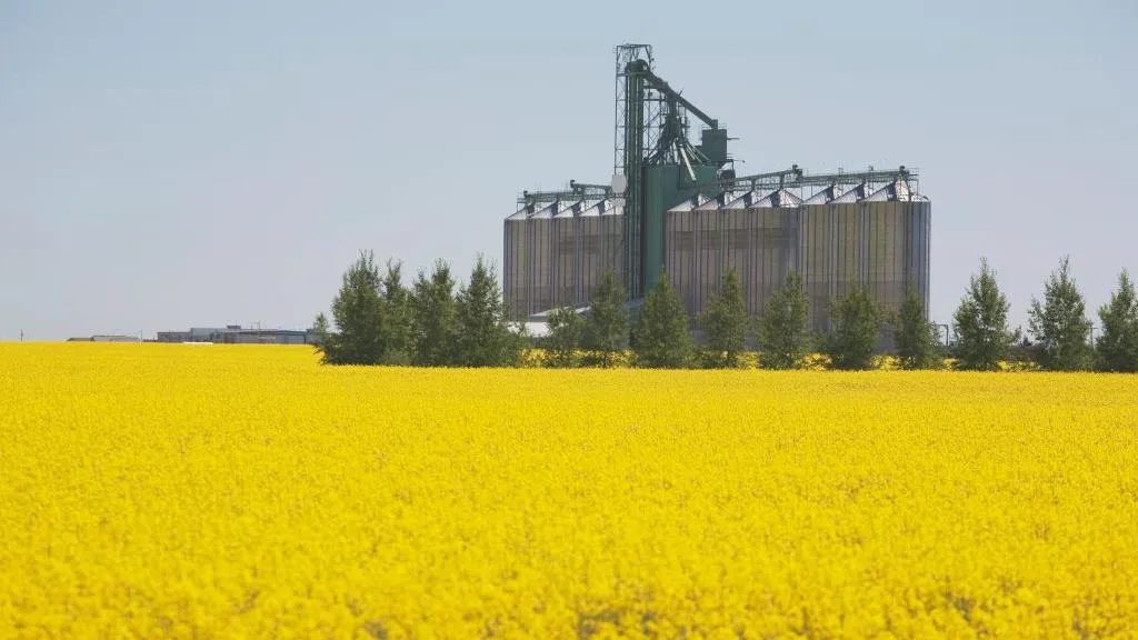 China ripostează la tarifele impuse de Canada în cazul EV-urilor