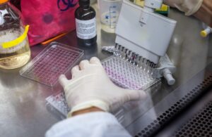 Un nou compus chimic ar putea combate malaria