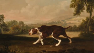 The Spanish Pointer e scos la licitație pentru prima dată