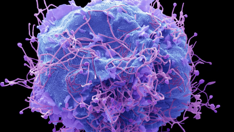Un nou virus gripal este tot mai răspândit în China