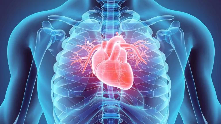 Plasturii din celule ajută pacienții cu insuficiență cardiacă