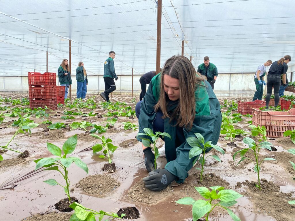Studiu: 3 din 4 firme din agricultură sunt gata să sprijine formarea elevilor
