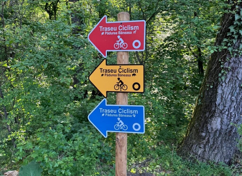 Trei trasee de biciclete au fost deschise în Pădurea Băneasa