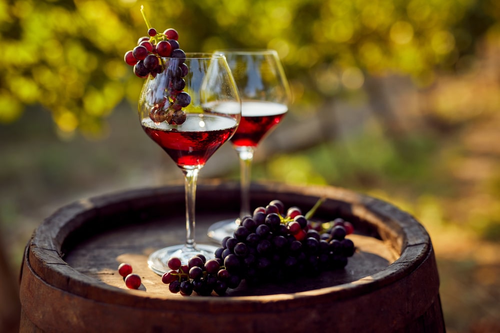 Revino Wine Show transformă Bucureștiul în capitala vinului