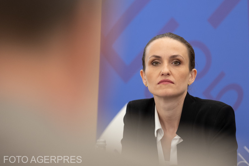 Oana Țoiu consideră că viitorul buget multianual al UE e ”o provocare” pentru România