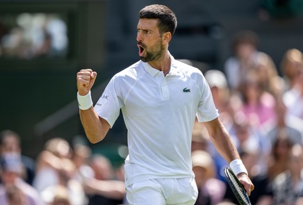 Djokovic s-a calificat în sferturile de finală la Wimbledon