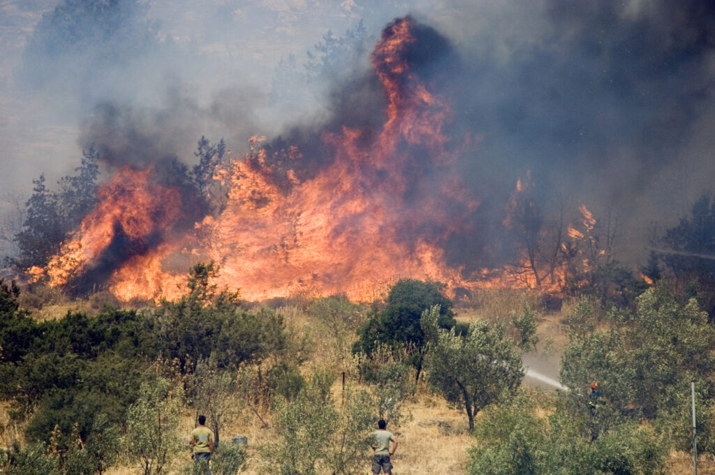 Incendii în Europa: un bilanț nemaiîntâlnit al incendiilor de pădure în 2025