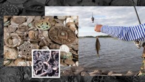 A plecat să caute râme și a găsit o comoară. Ce a descoperit un pescar din Suedia