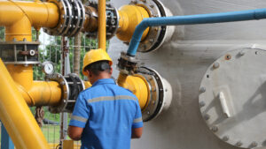 Europa este dependentă de gazul american, iar Trump ar putea folosi această pârghie împotriva ei