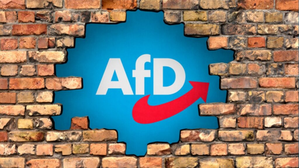 Acuzații de nepotism la adresa politicienilor AfD. Merz se gândește la înăsprirea legilor