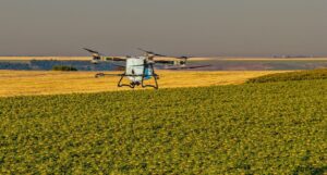 Unde nu a răsărit rapița? AEROCROP identifică zonele afectate cu ajutorul dronei